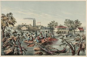 Hautes Eaux dans le Mississippi, pub.1868 - Frances Flora Bond Palmer