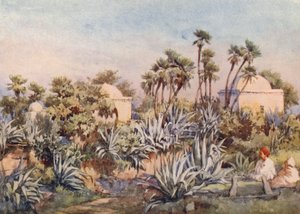 Koubba de Sidi Noumann, Bouzareah - Frances Nesbitt