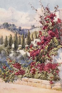 Sur mon balcon, Alger - Frances Nesbitt