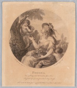 Pomone - Francesco Bartolozzi