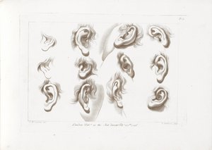 Douze oreilles (Les rudiments du dessin de Cipriani) - Francesco Bartolozzi
