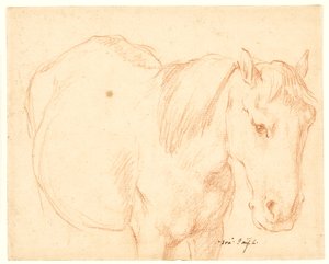 Un cheval - Francesco Fernandi