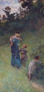 Fleurs sauvages