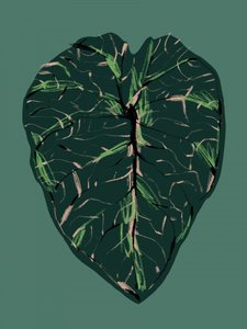  - Francesco Gulina