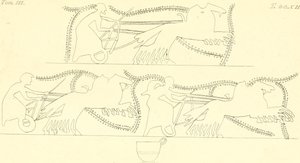 INGHIRAMI(1835) Peintures de vases fictifs Vol3 T212 (14598189190) - Francesco Inghirami