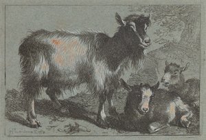 Chèvre et Deux Chevreaux, 1758 - Francesco Londonio