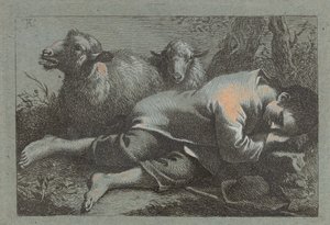 Garçon paysan endormi près de deux moutons