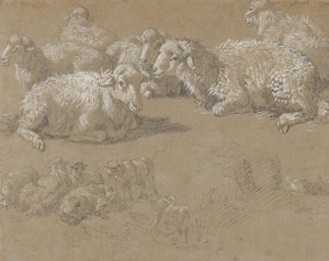 Mouton couché dans un paysage