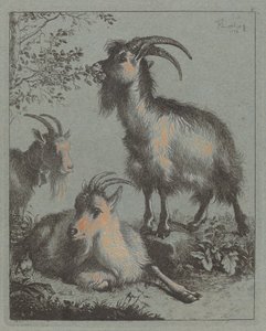 Trois chèvres