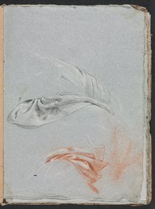 Carnet de croquis de Vérone : Études de draperie (page 17)