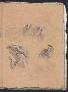 Carnet de croquis de Vérone : Études de draperie (page 69) - Francesco Lorenzi