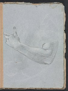 Carnet de croquis de Vérone : bras gauche et main page 47, 1760 - Francesco Lorenzi