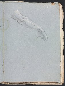 Carnet de croquis de Vérone : bras droit et main page 95, 1760