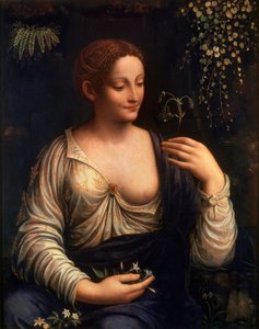Flore, vers 1510-1515