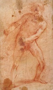 Nu masculin tirant un filet (?) - Francesco Montelatici