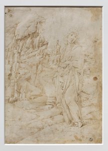 Jeune homme dans un paysage rocheux