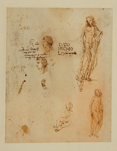 Trois profils ; des oreilles ; deux Apollos ... - Francesco di Simone (attr. to)