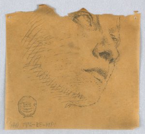 Esquisse partielle d