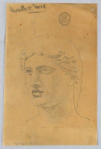 Croquis de la tête d