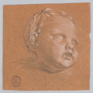 Étude de la tête d