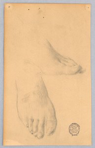 Étude de pieds