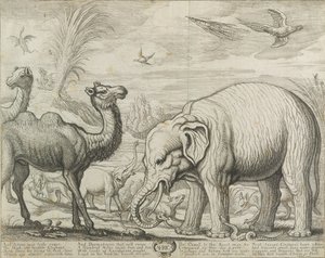Afrique, 1672