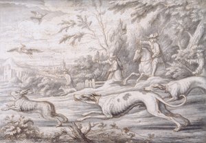 Chasse au lièvre