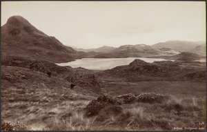 Arthog, lac Creigenen - Francis Bedford