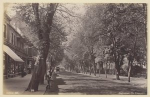 Cheltenham, la Promenade - Francis Bedford