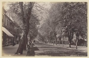 Cheltenham, la Promenade - Francis Bedford