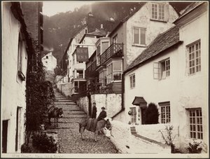 Clovelly, New Inn  Street - Francis Bedford