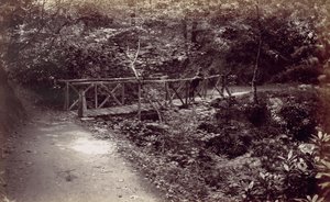 Colwyn Bay. Pont Rustique dans le Bois, 1870s - Francis Bedford