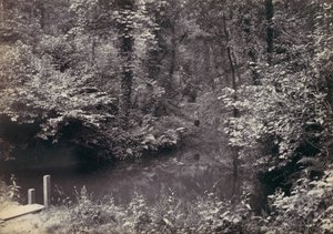 Colwyn Bay. La piscine dans le bois - Francis Bedford