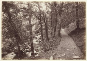 Dolgelley, Vue dans Torrent Walk