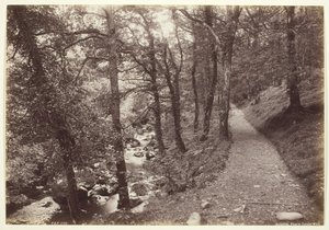 Dolgelley, Vue dans Torrent Walk - Francis Bedford