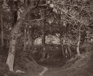 Glen Kenilworth, c. 1868 (photo) - Francis Bedford