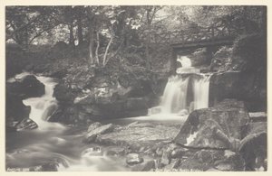 Glen Lyn, le pont rustique - Francis Bedford