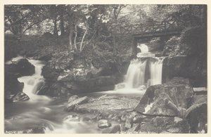 Glen Lyn, le pont rustique, 1860-94 - Francis Bedford