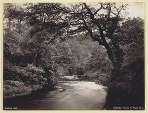 Pont de lierre, vue sur la rivière Prysor - Francis Bedford
