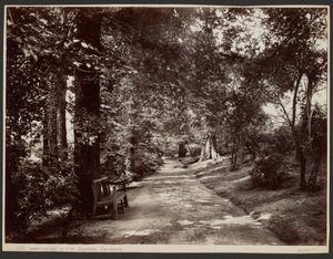 Leamington, dans les jardins Jephson - Francis Bedford