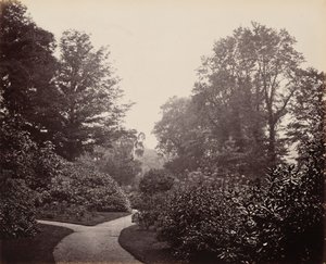 Allée d