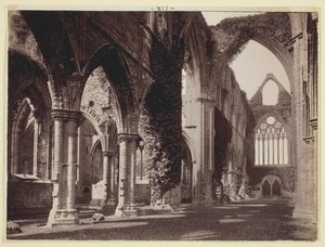 Sans titre [Abbaye de Tintern], 1860-94 - Francis Bedford