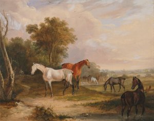Chevaux au pâturage : un étalon gris au pâturage avec des juments dans un pré - Francis Calcraft Turner