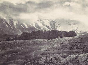 Vue lointaine des cèdres du Liban - Francis Frith