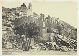 Palmier Doum et Mosquée en ruine, Philæ - Francis Frith