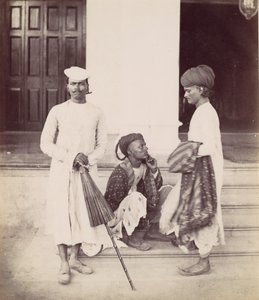 Courtiers Marwaree
