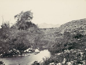 La Fontaine de Jéricho et site probable de la ville, vers 1857 - Francis Frith