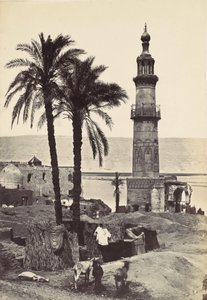 Vue à Girgeh, 1857