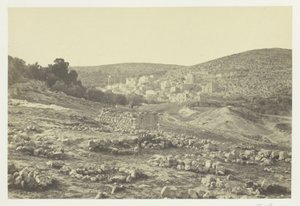 Vue à Hebron - Francis Frith