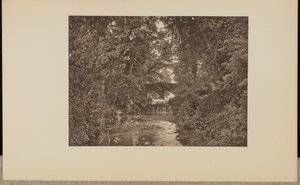 Sur la rivière Taunton - Francis Frith and Co.